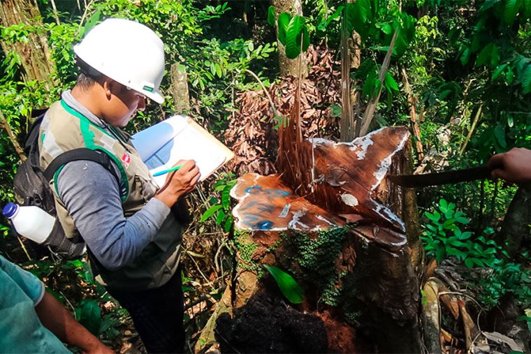 Aprueban El Plan Anual De Evaluaci N Y Fiscalizaci N Ambiental