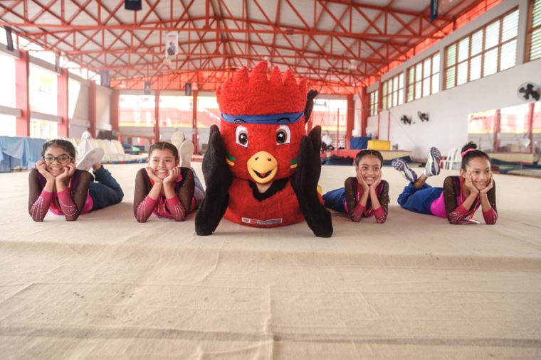 Rafito El Gallito De Las Rocas Se Alista Para Los Juegos Escolares