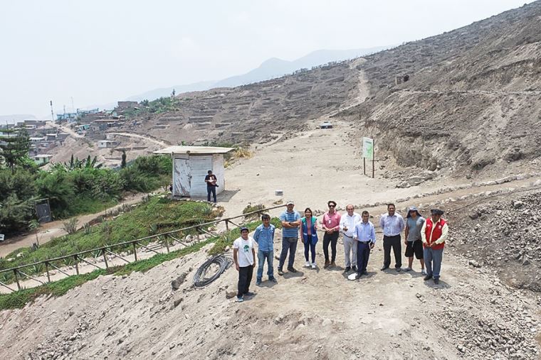 Municipalidad de Lima apoya a Lomas de Carabayllo con 20 000 árboles