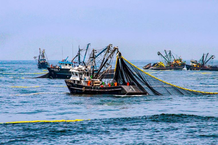 Produce Obtuvo Medidas En Favor Del Sector Pesquero Nacional En Reuni N