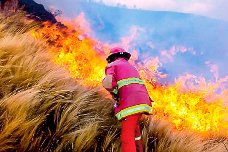 Igp Incendios Forestales Arrasaron Miles De Hect Reas En El Per En