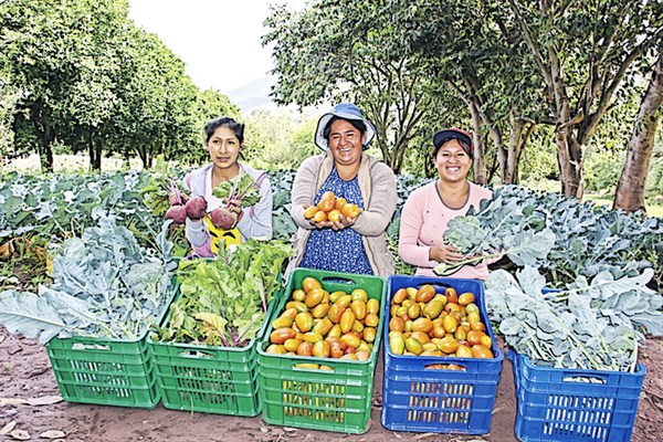 Impulsan La Inclusi N De Peque Os Productores Noticias Diario