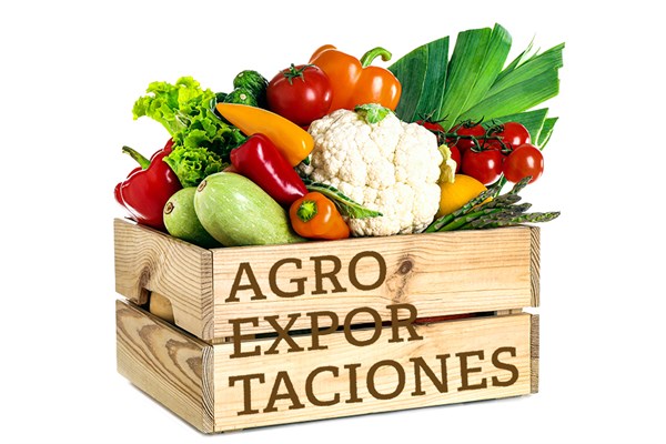 Agroexportaciones Motor De Crecimiento Que Se Consolida Noticias