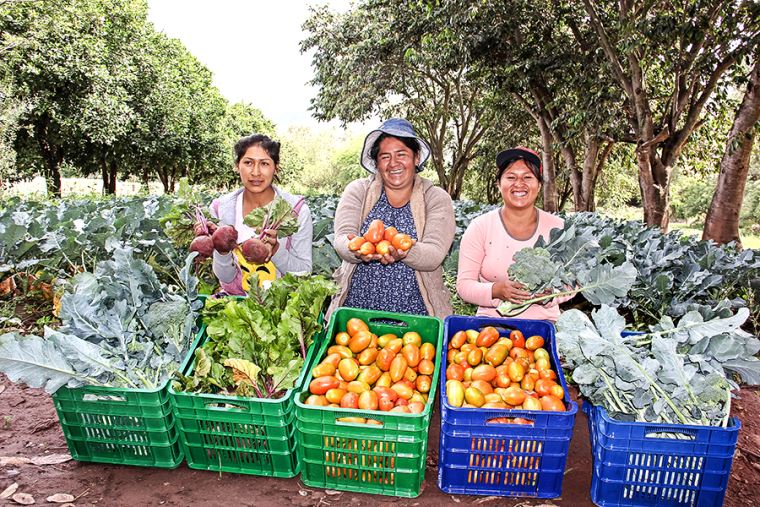 Inei De Los Productores Agropecuarios Del Pa S Son Mujeres