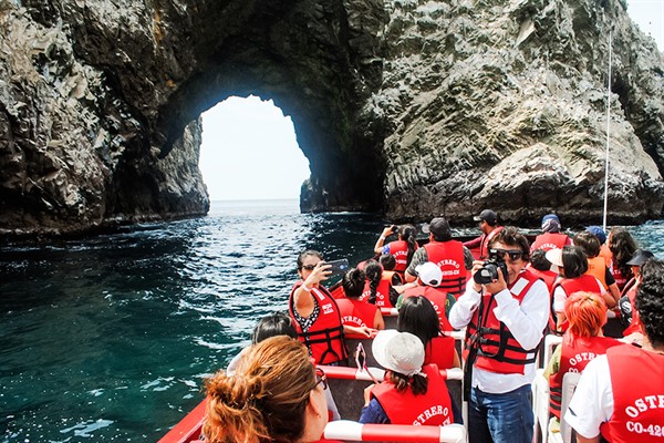 Reanudan Paseos A Islas Ballestas En Paracas Noticias Diario