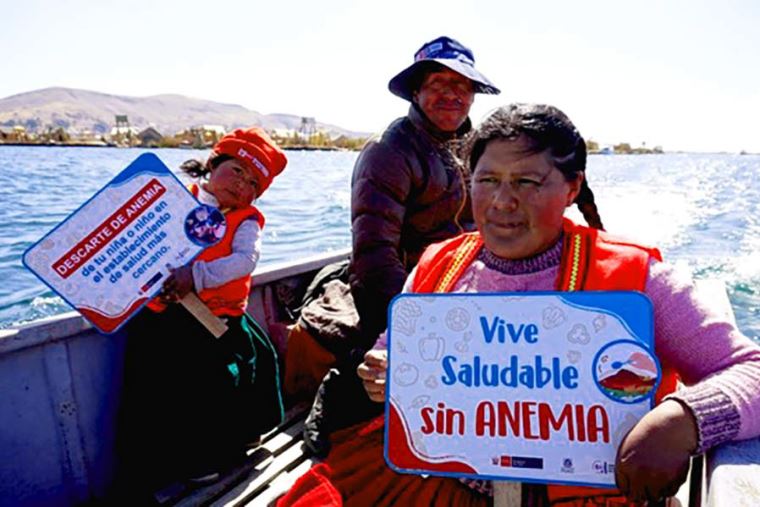 Puno: fortalecen capacidades de tutores en prevención de anemia y  desnutrición crónica infantil