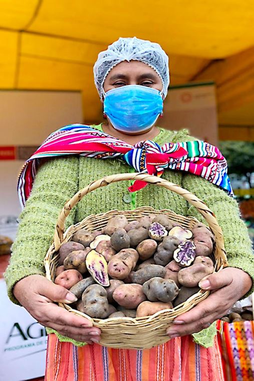 Imagen 1: Agro Rural inicia inscripción de emprendimientos de la mujer rural para acceder a subvenciones