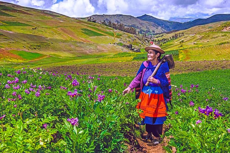Imagen 1: Estrategia de emprendimiento de mujer rural e indígena incorpora a 25,000 productoras agrarias