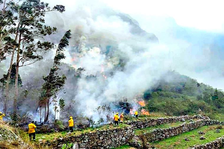 IGP: Incendios forestales arrasaron miles de hectáreas en el Perú en los últimos 20 años