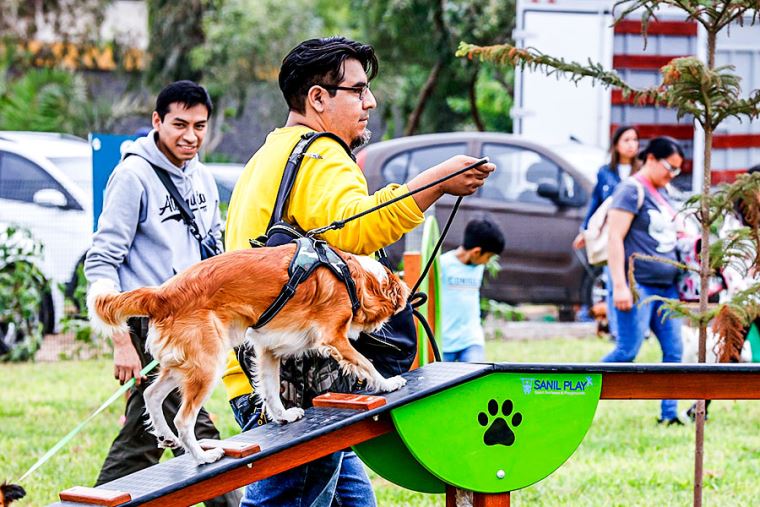 Magdalena del Mar inaugura el primer parque canino del país, perro, mascota, Francis Allinson, últimas, LIMA