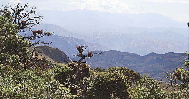 Los Paramos Piuranos