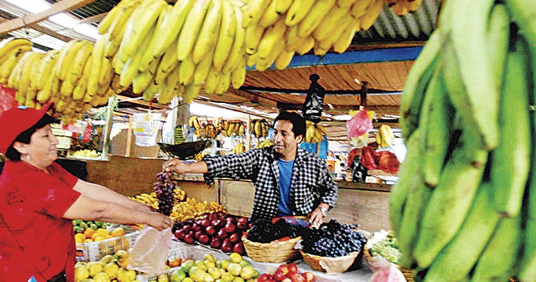 FOTOGRAFIA