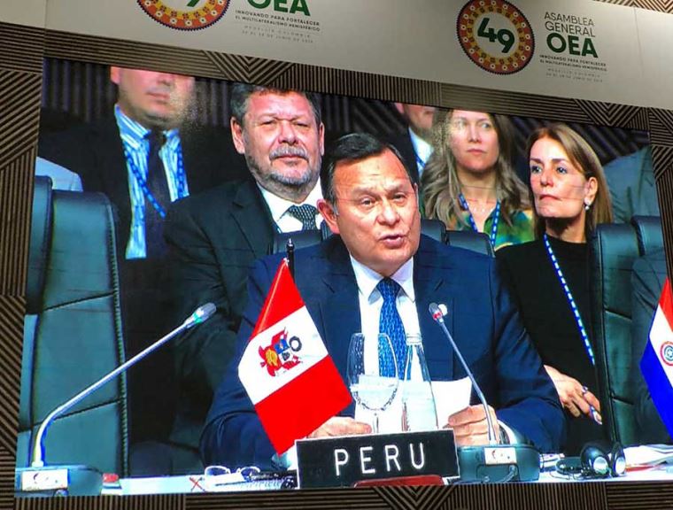 La OEA y la promoción de la democracia | Noticias | Diario Oficial El ...