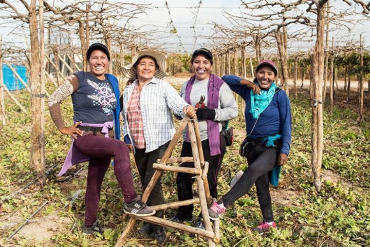 Mujeres líderes buscan mejorar la gestión del agua en la cuenca Quilca-Chili - El Peruano