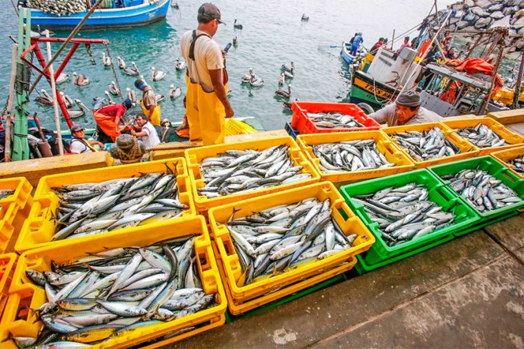 El Día de San Pedro y San Pablo | Día del Pescador