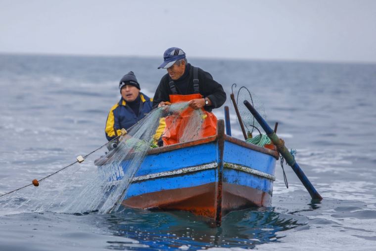 Pesca Artesanal Contribuye Con 64 De Productos Marinos De Consumo Humano Directo Noticias 1362