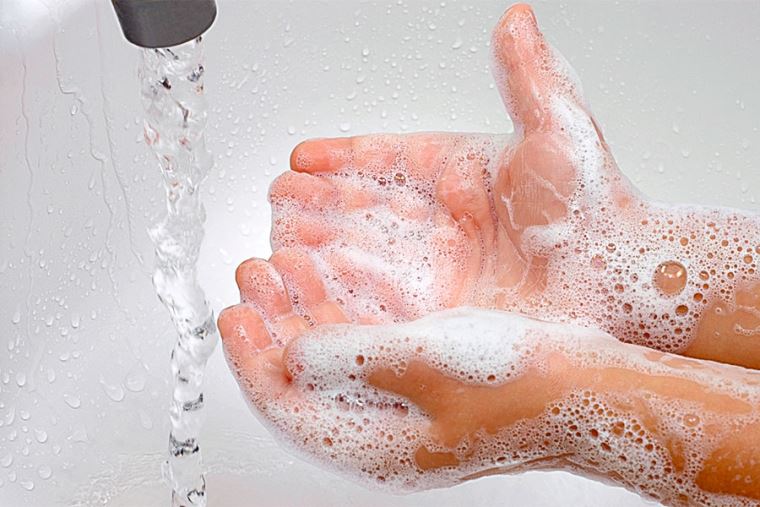Conoce la Guía para la limpieza y desinfección de manos y superficies para  prevenir el covid-19