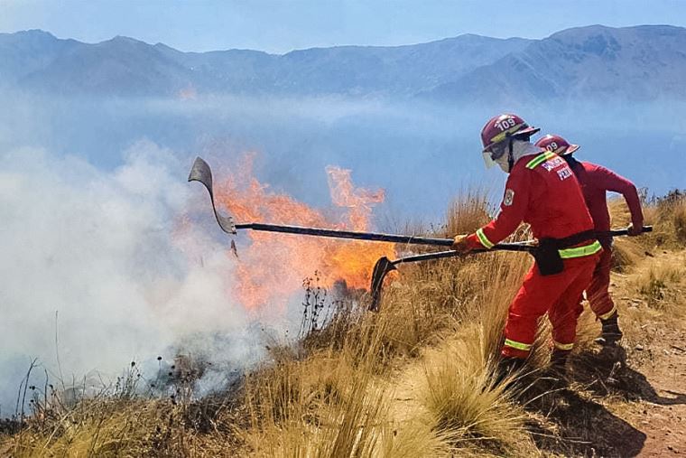 Incendio forestal en Cusco más de 500 personas retomaron trabajos de