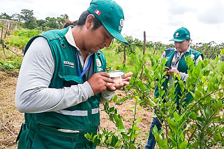 Modifican TUPA del Servicio Nacional de Sanidad Agraria | Noticias ...