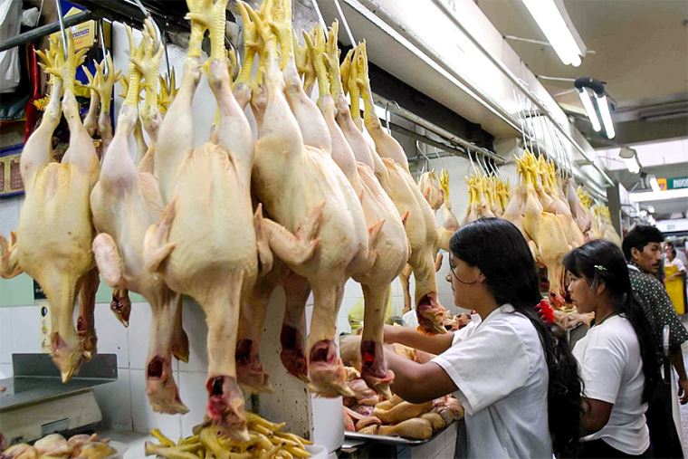 Midagri: precio del pollo comenzó a disminuir por una mayor oferta