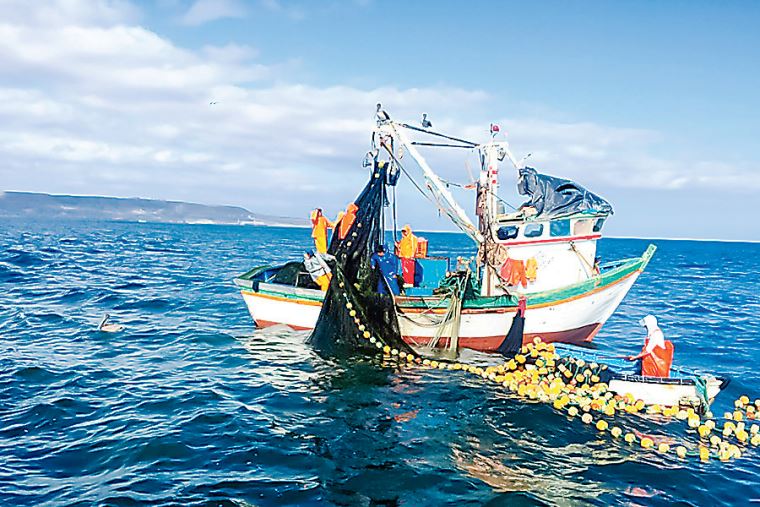 Perú se compromete a revalorar la pesca artesanal y su aporte a la