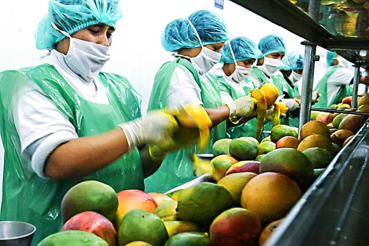 Agroexportaciones En Primer Trimestre Sumaron Us 2345 Millones Y Crecen Ventas De Frutas 2621