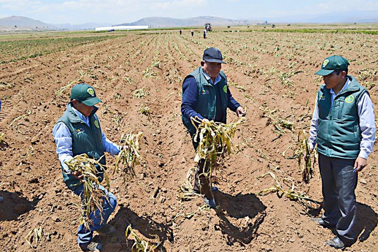 El Niño: Gobierno evalúa emitir declaratoria por peligro inminente ante posibles sequías