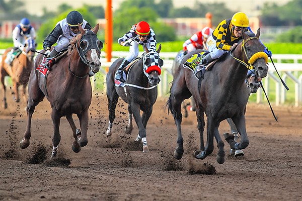 La ‘Copa América’ de la hípica en Lima Noticias Diario Oficial El