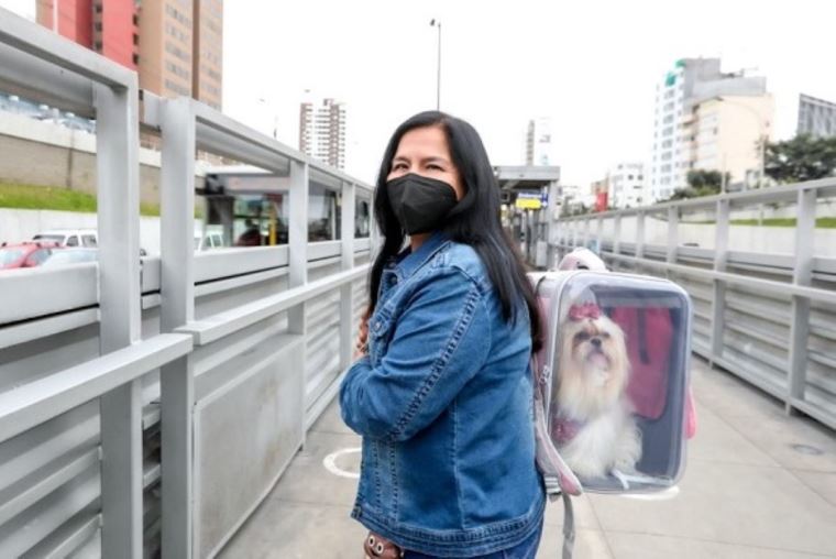 se permiten perros en los trenes de metro