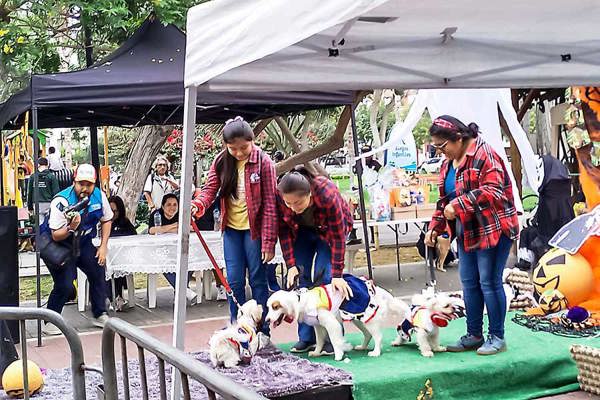 UN SUPLEMENTO DE DIARIO OFICIAL EL PERUANO