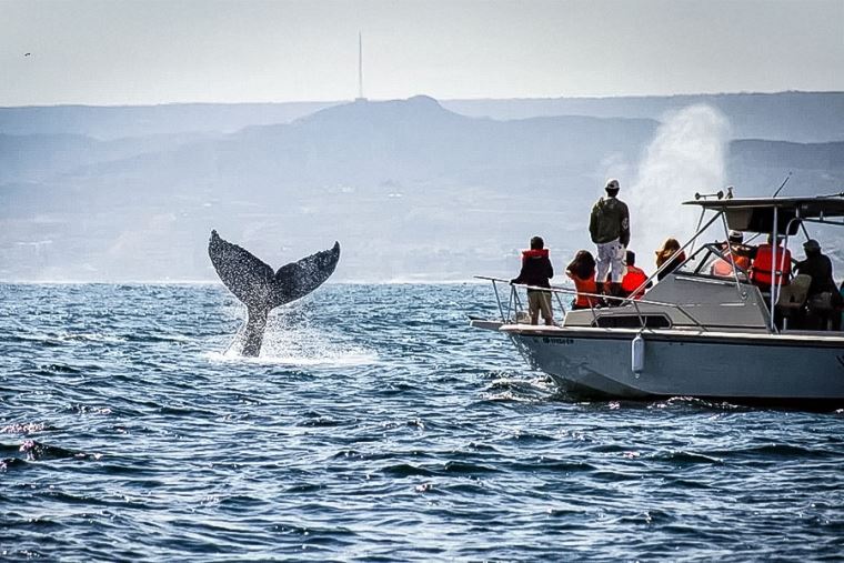 FOTOGRAFIA