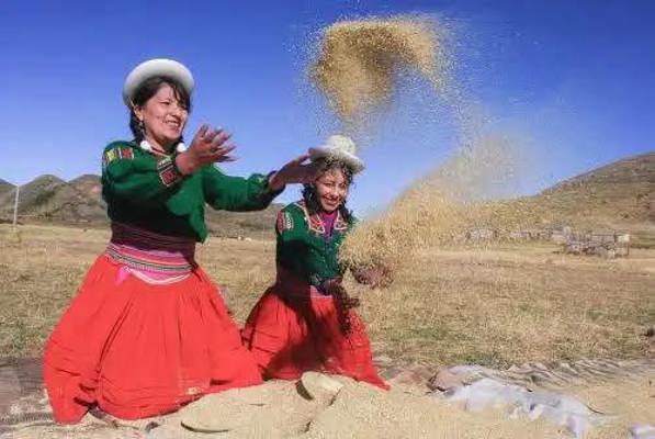 UN SUPLEMENTO DE DIARIO OFICIAL EL PERUANO